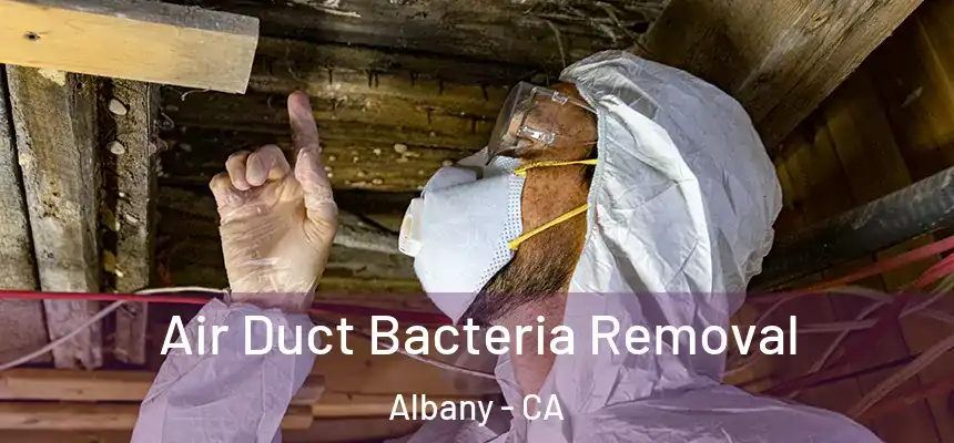 Air Duct Bacteria Removal Albany - CA