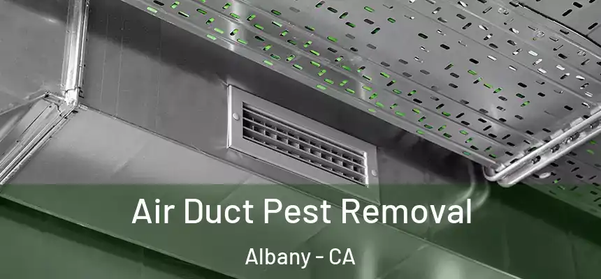 Air Duct Pest Removal Albany - CA