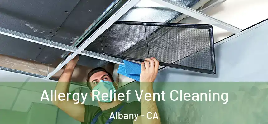 Allergy Relief Vent Cleaning Albany - CA