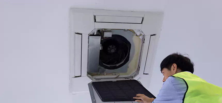 Our Dryer Vent Sanitization Service Services in Albany, CA