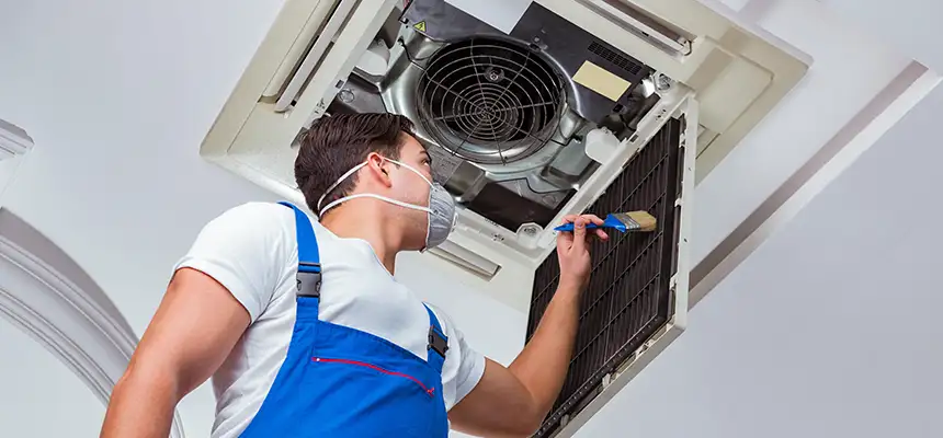 Our Move-in/Move-out Duct Cleaning Services in Albany, CA