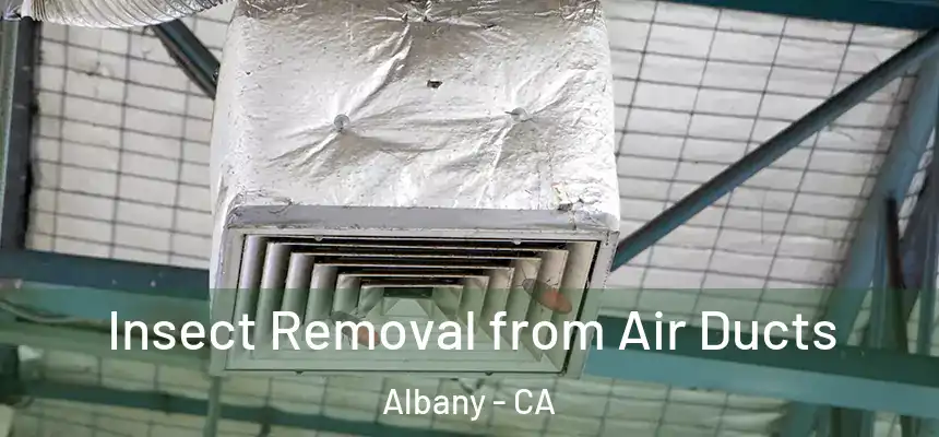 Insect Removal from Air Ducts Albany - CA