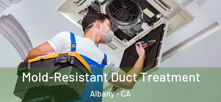Mold-Resistant Duct Treatment Albany - CA