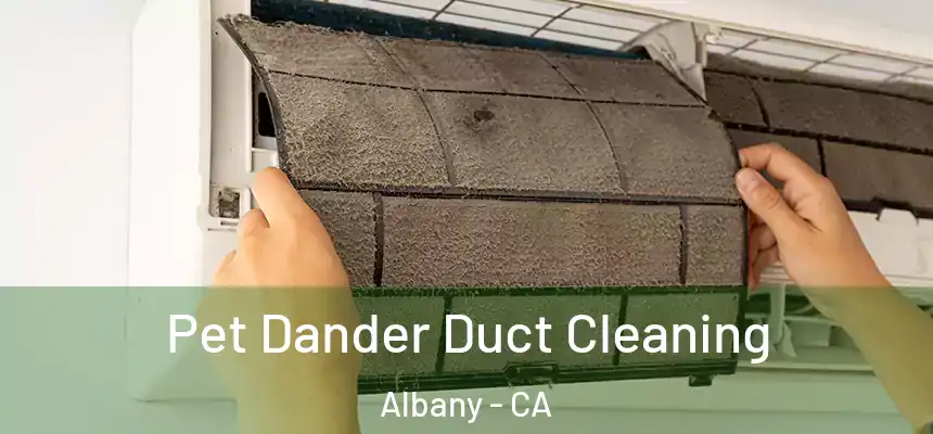 Pet Dander Duct Cleaning Albany - CA