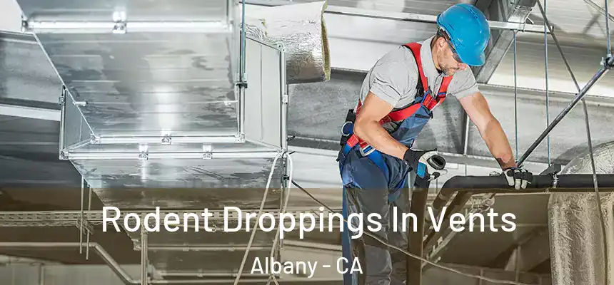 Rodent Droppings In Vents Albany - CA