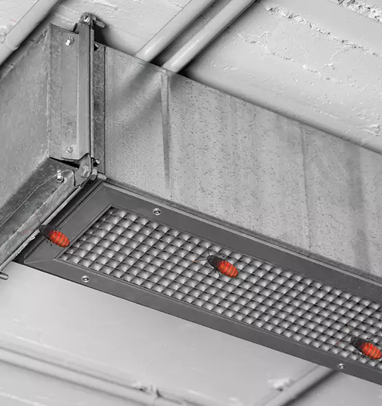 About Air Duct Cockroach Removal in Albany, CA