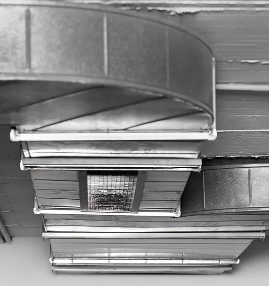 Professional Air Duct Pet Hair Removal in Albany, CA