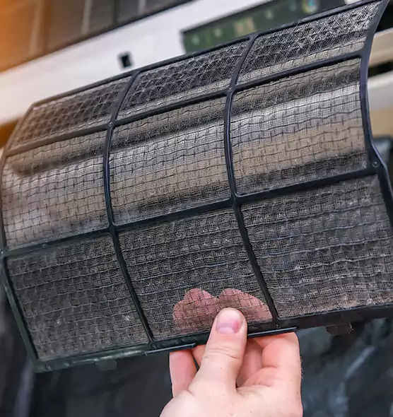 About Pet Dander Duct Cleaning in Albany, CA