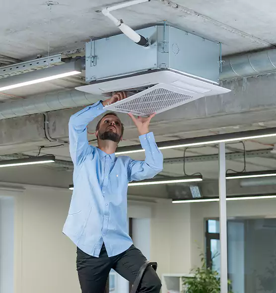 Advanced Rodent Droppings In Vents in Albany, CA