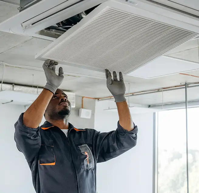 Why Homeowners & Businesses Trust Us in Albany, CA?